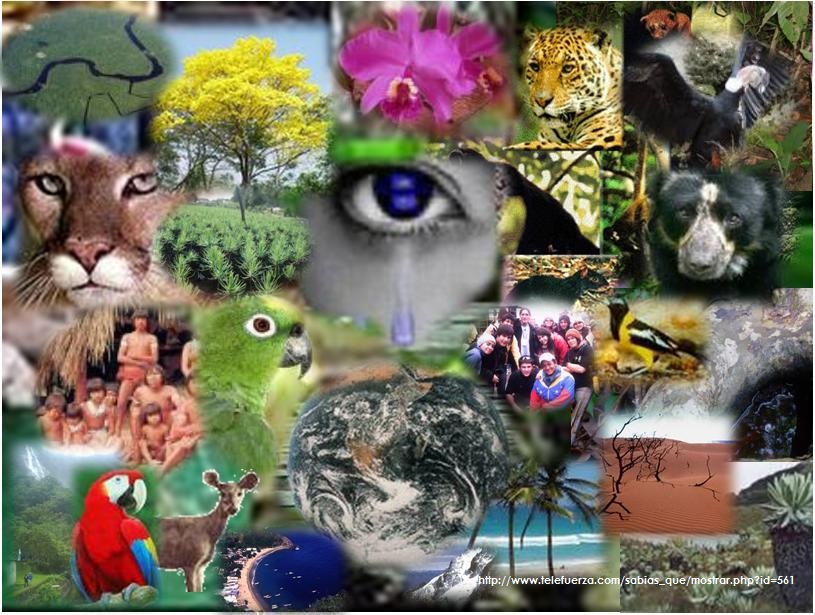 22 de mayo: Día Internacional de la Diversidad Biológica